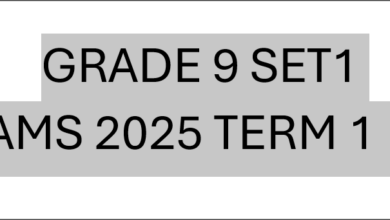 GRADE 9 SET1 EXAMS 2025 TERM 1