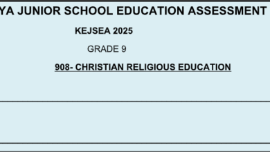 GRADE 9 SET 5 EXAM 2025