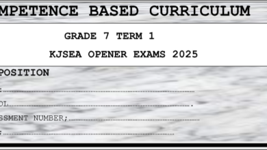 GRADE 7 SET 1EXAMS 2025