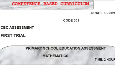 GRADE 6 SET 1 EXAMS 2025