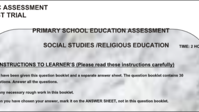 GRADE 5 SET 1 EXAMS Q$A 2025