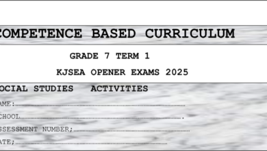 GRADE 7 SET 2 EXAMS 2025