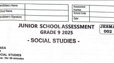 GRADE 9 SET 6 EXAMS 2025