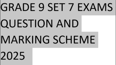 GRADE 9 SET 7 EXAMS QUESTION AND MARKING SCHEME 2025