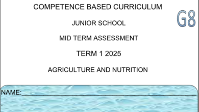 GRADE 8 SET 4 EXAMS Q&A 2025