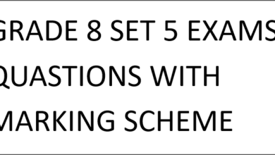 GRADE 8 SET 5 EXAMS QUASTIONS WITH MARKING SCHEME 2025