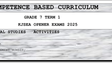 GRADE 7 SET 3 EXAMS 2025