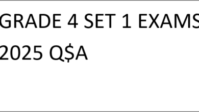 GRADE 4 SET 1 EXAMS 2025 Q$A