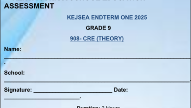 GRADE 9 SET 8 EXAMS 2025