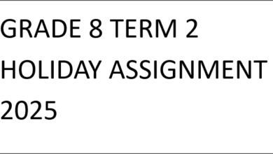 GRADE 8 TERM 2 HOLIDAY ASSIGNMENT 2025