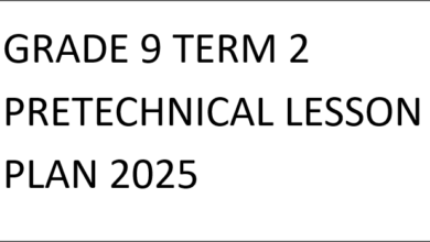 GRADE 9 TERM 2 PRETECHNICAL LESSON PLAN 2025
