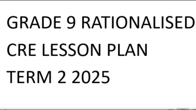 GRADE 9 RATIONALISED CRE LESSON PLAN TERM 2 2025