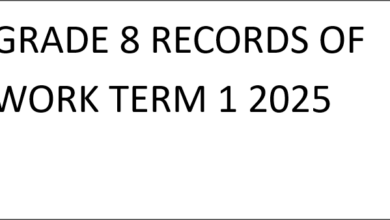 GRADE 8 RECORDS OF WORK TERM 1 2025