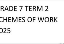 GRADE 7 TERM 2 SCHEMES OF WORK 2025