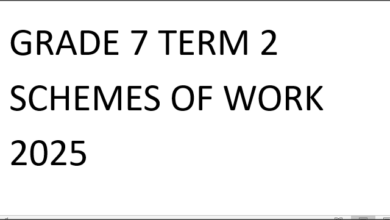 GRADE 7 TERM 2 SCHEMES OF WORK 2025