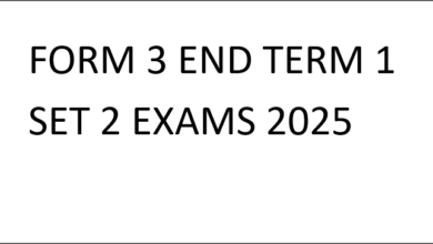 FORM 3 END TERM 1 SET 2 EXAMS 2025
