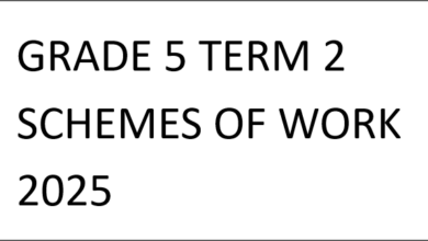 GRADE 5 TERM 2 SCHEMES OF WORK 2025