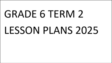 GRADE 6 TERM 2 LESSON PLANS 2025