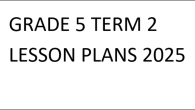 GRADE 5 TERM 2 LESSON PLANS 2025