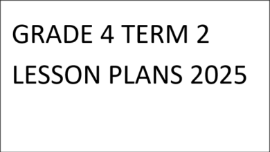 GRADE 4 TERM 2 LESSON PLANS 2025