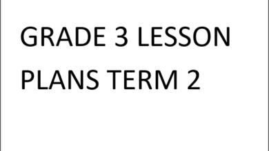 GRADE 3 LESSON PLANS TERM 2