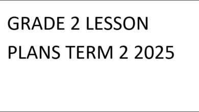 GRADE 2 LESSON PLANS TERM 2 2025