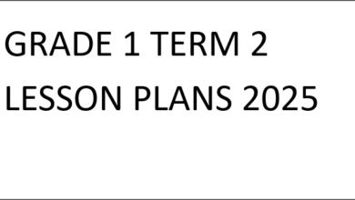 GRADE 1 TERM 2 LESSON PLANS 2025