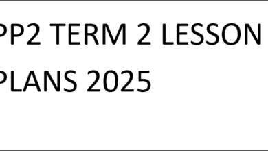 PP2 TERM 2 LESSON PLANS 2025