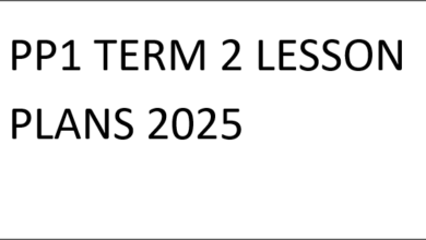 PP1 TERM 2 LESSON PLANS 2025