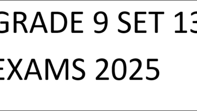 GRADE 9 SET 13 EXAMS 2025