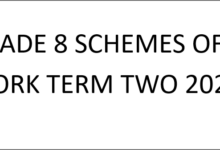 GRADE 8 SCHEMES OF WORK TERM TWO 2025