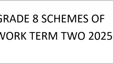 GRADE 8 SCHEMES OF WORK TERM TWO 2025