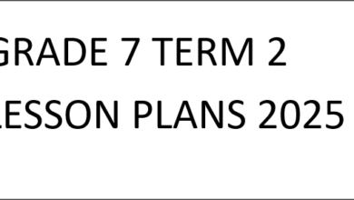 GRADE 7 TERM 2 LESSON PLANS 2025