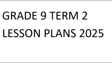 GRADE 9 TERM 2 LESSON PLANS 2025