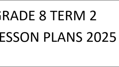 GRADE 8 TERM 2 LESSON PLANS 2025