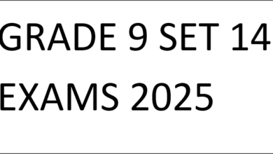 GRADE 9 SET 14 EXAMS 2025
