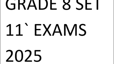 GRADE 8 SET 11 EXAMS 2025
