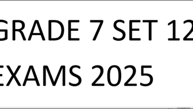 GRADE 7 SET 12 EXAMS 2025