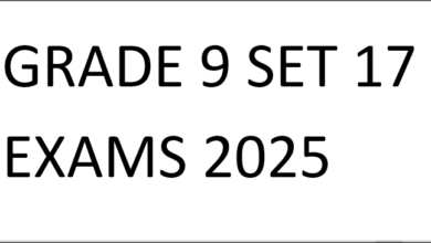 GRADE 9 SET 17 EXAMS 2025