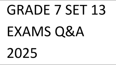 GRADE 7 SET 13 EXAMS Q&A 2025