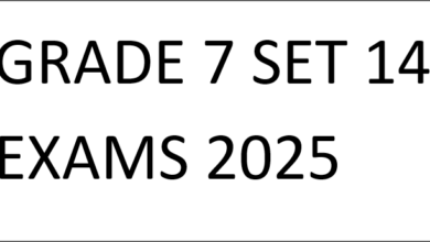 GRADE 7 SET 14 EXAMS 2025