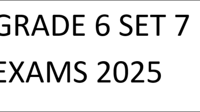 GRADE 6 SET 7 EXAMS 2025
