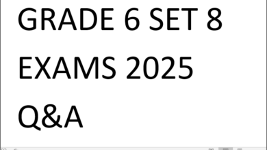 GRADE 6 SET 8 EXAMS 2025 Q&A