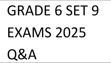 GRADE 6 SET 9 EXAMS 2025 Q&A