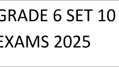 GRADE 6 SET 10 EXAMS 2025
