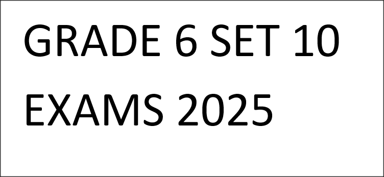 GRADE 6 SET 10 EXAMS 2025