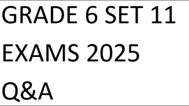 GRADE 6 SET 11 EXAMS 2025 Q&A