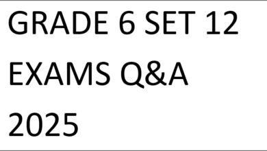 GRADE 6 SET 12 EXAMS Q&A 2025