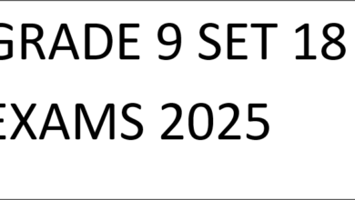 GRADE 9 SET 18 EXAMS 2025