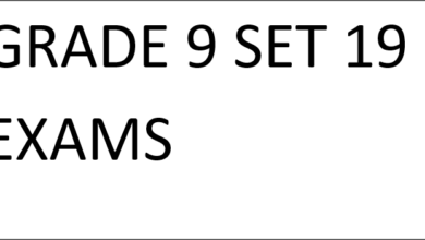 GRADE 9 SET 19 EXAMS